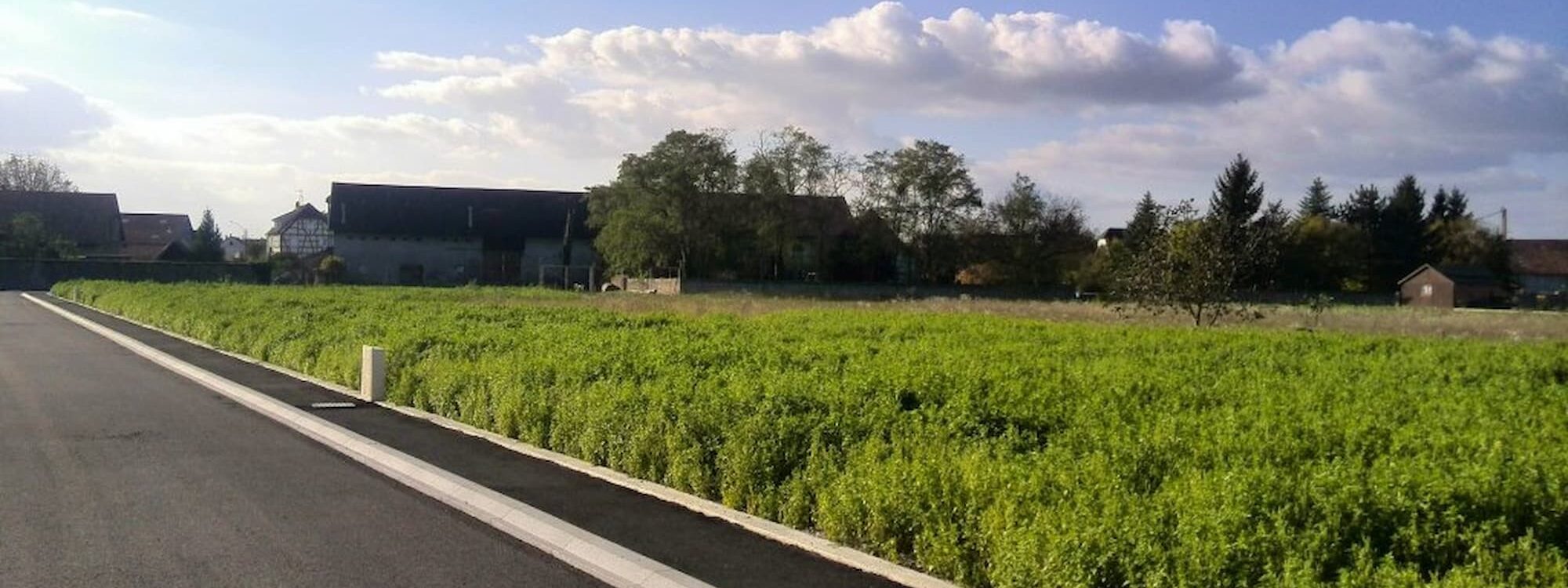 Les quartiers à privilégier pour construire à Colmar Sélestat