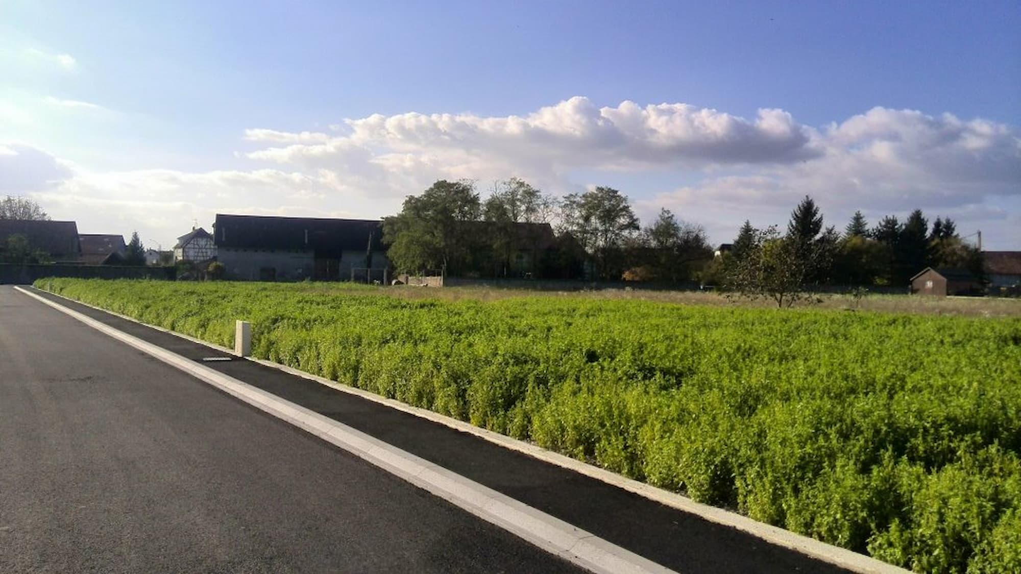 Sovia Aménageur : expert en terrains constructibles en Alsace depuis plus de 35 ans Wittenheim 0