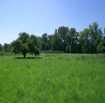 Comment organiser efficacement sa recherche de terrain dans le Haut-Rhin ? Colmar