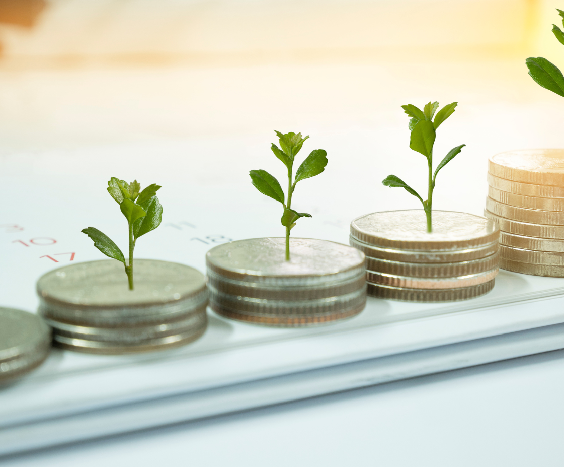 Financement pour l&#8217;achat d&#8217;un terrain et la construction de votre maison : explorez vos options | Colmar | Alsace Pfastatt