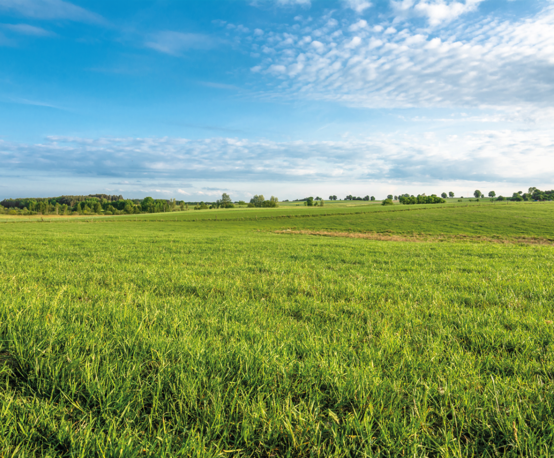 Sélectionner votre terrain de construction idéal pour votre projet à Colmar | Alsace Rixheim