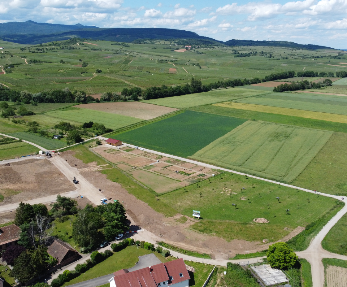 Découvrez votre terrain à Bergholtz Soultz-Haut-Rhin