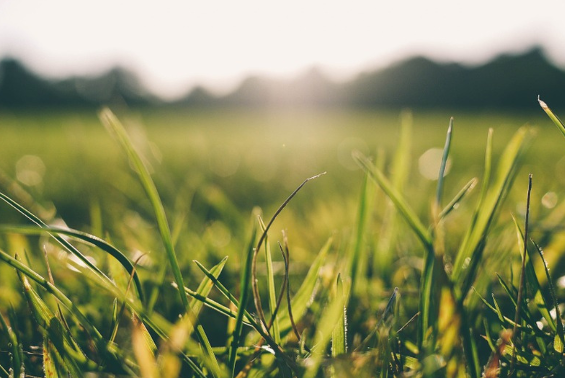 4 choses à vérifier sur un terrain viabilisé dans le Bas-Rhin Guebwiller