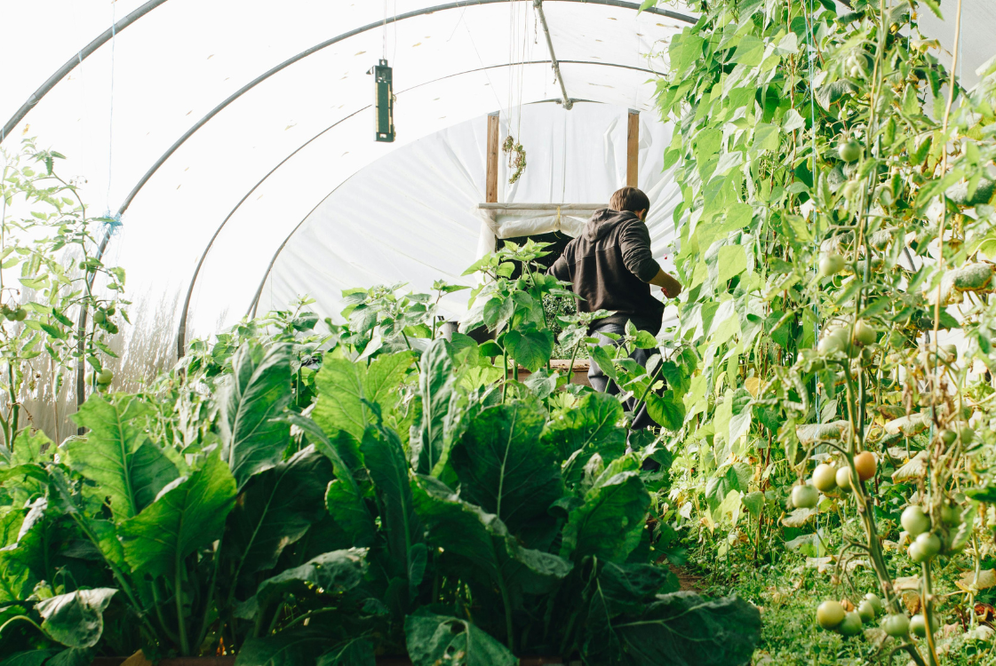 Idées créatives pour aménager un jardin d&#8217;hiver chez vous à Colmar | Alsace Colmar