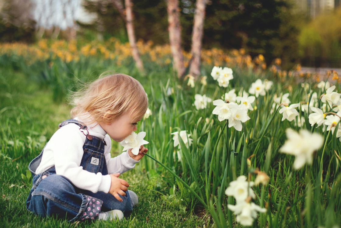 Planification de l&#8217;aménagement d&#8217;un jardin ou d&#8217;un espace vert sur votre terrain à Colmar | Alsace Guebwiller