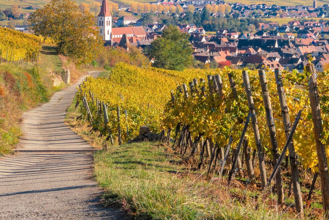 Privilégier les petites communes : les nombreux avantages observés à Colmar | Alsace Wittelsheim
