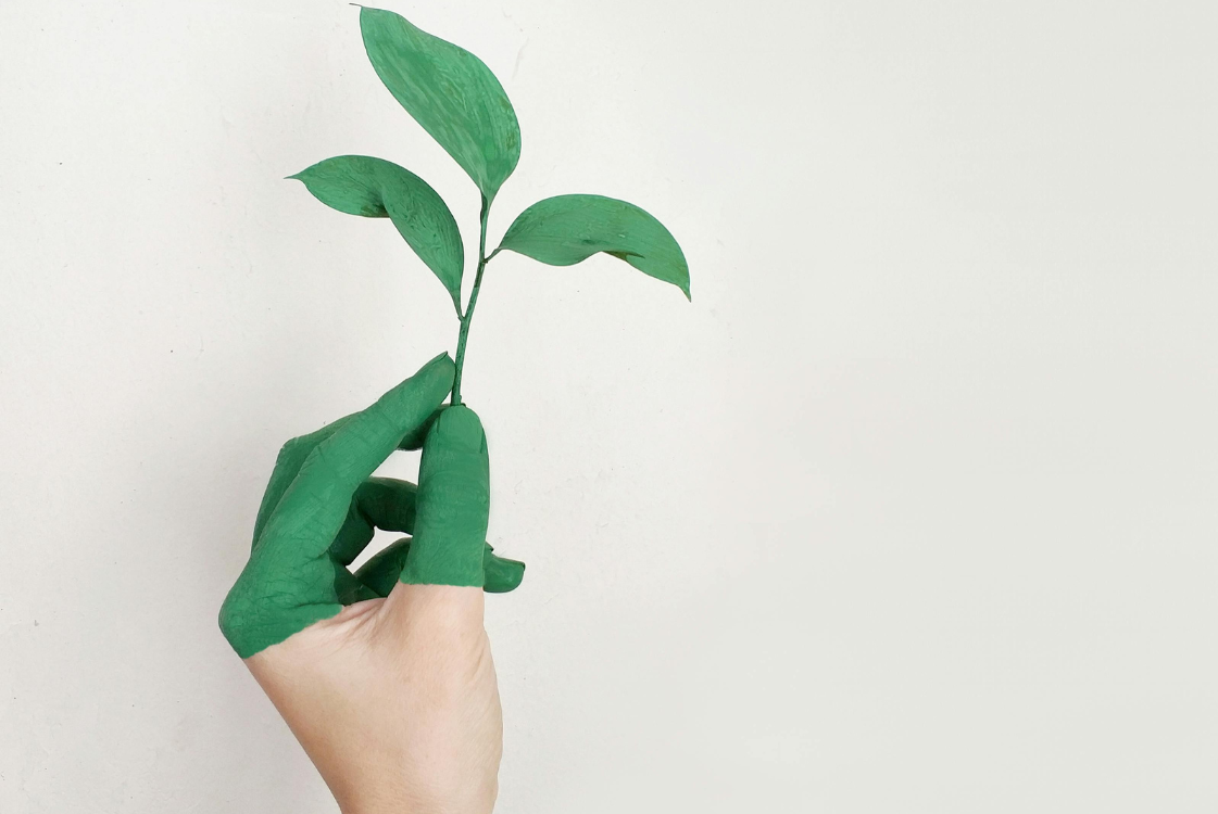 PHOTO ARTICLE SA 5 1 2 1121X750 | SOVIA Aménageur Pour une construction de maison pérenne et respectueuse de l’avenir | Colmar | Alsace Wittenheim