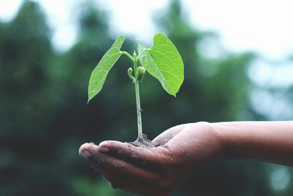 Maison bioclimatique à Colmar : une clé d&#8217;avenir durable | Alsace Pfastatt