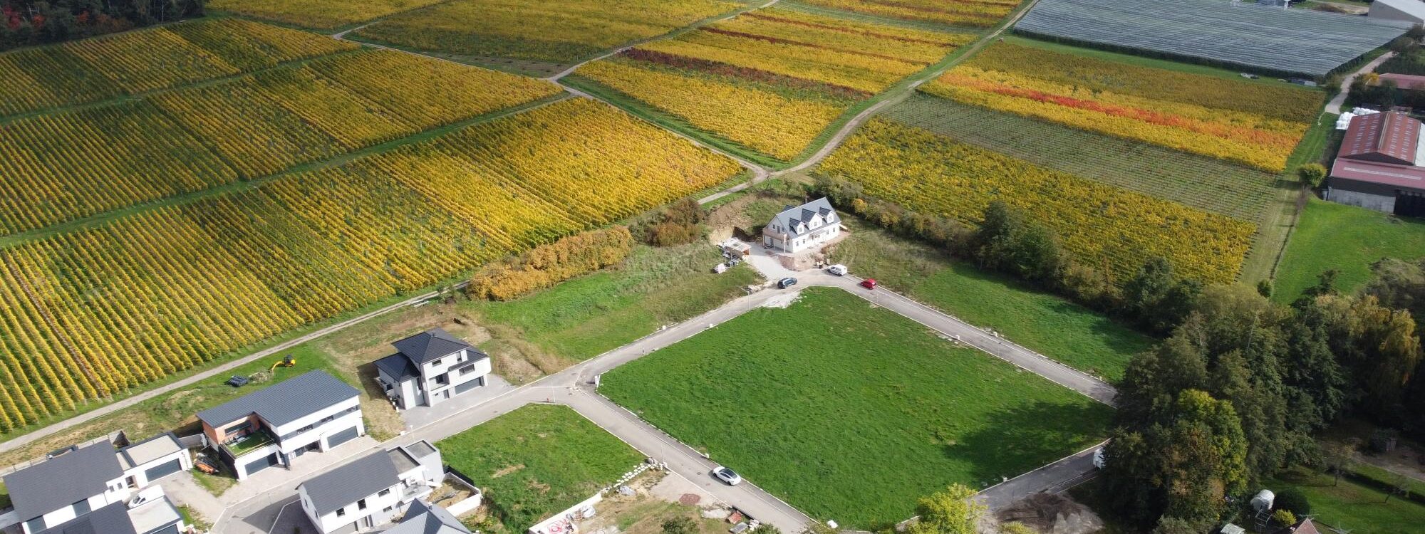 Terrain constructible à Colmar : quelles démarches prévoir ? Sélestat