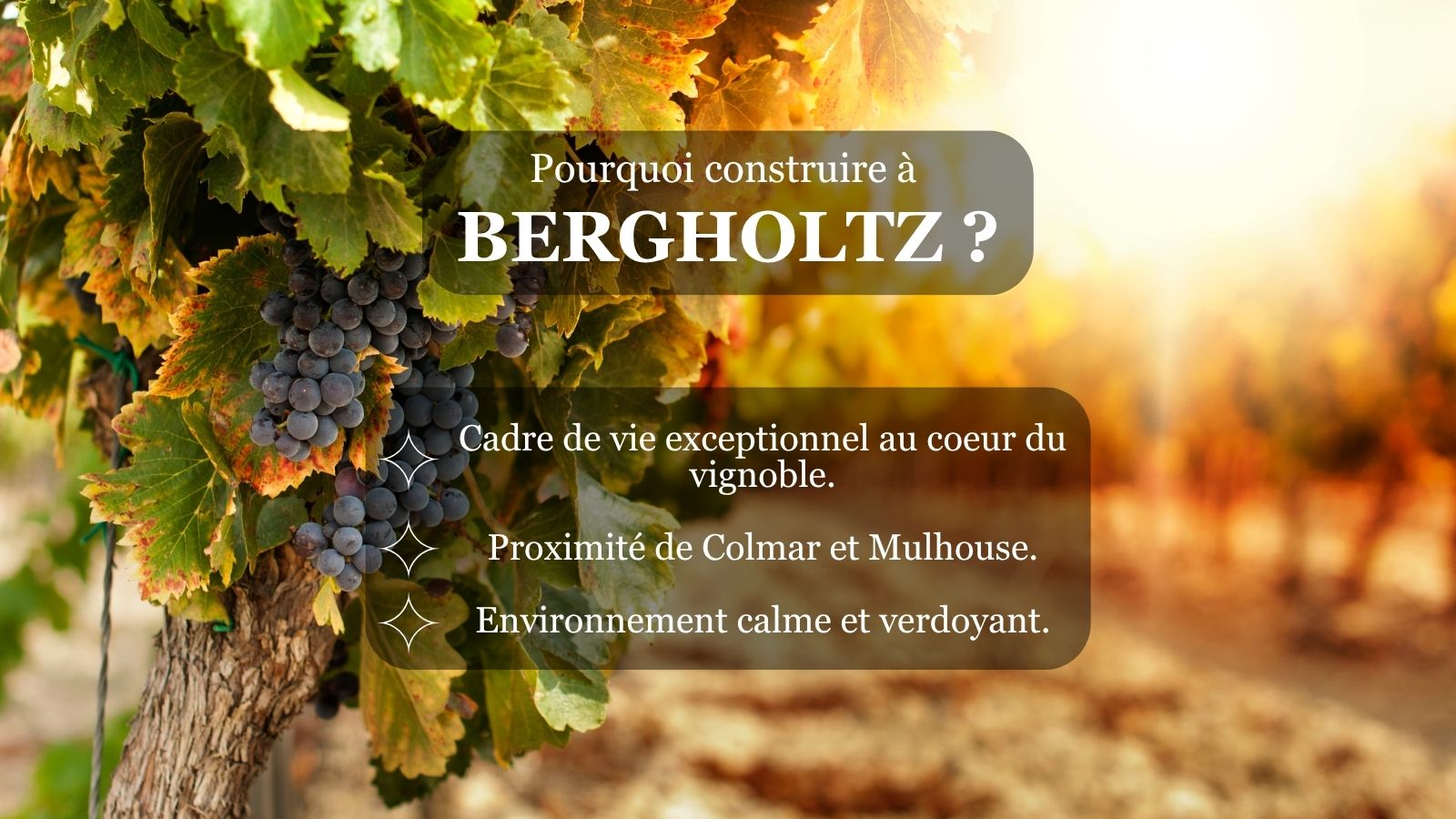 TERRAINS A VENDRE BERGHOLTZ_OFFRE 2 | SOVIA Aménageur Breuel Wintzenheim 0
