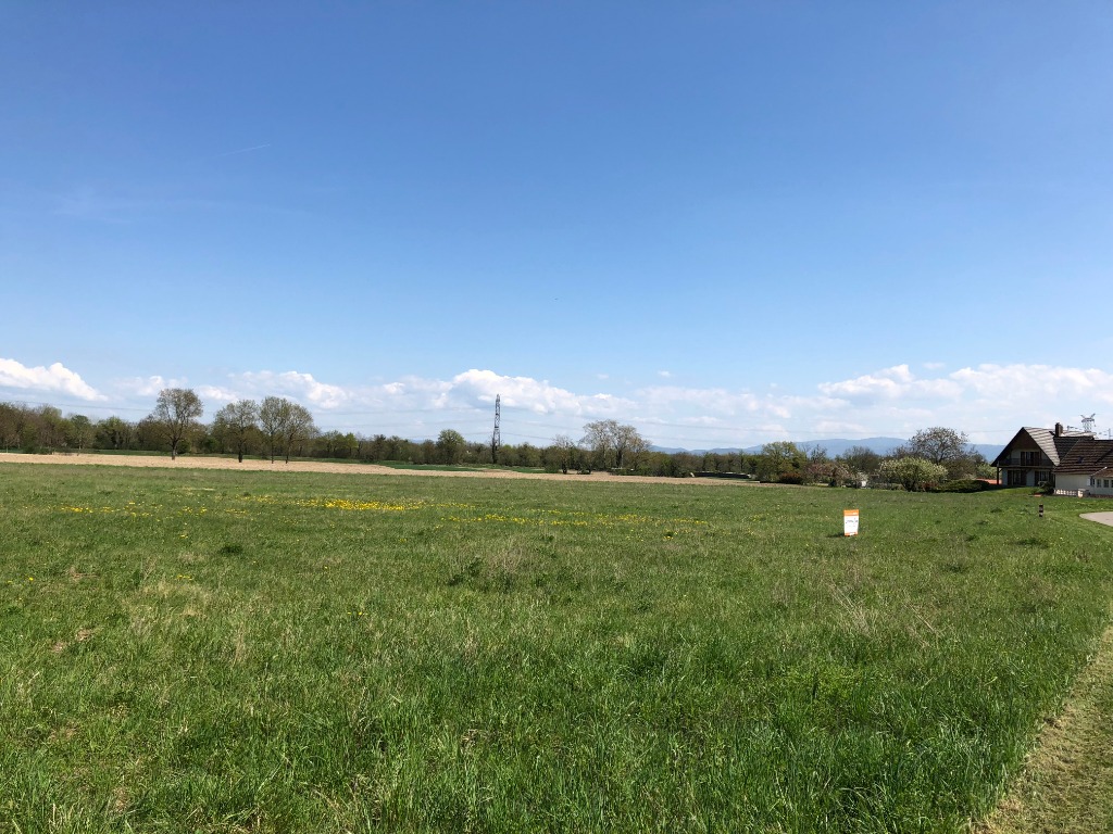 Terrain constructible &agrave; Colmar : quelles zones sont les plus int&eacute;ressantes ? S&eacute;lestat