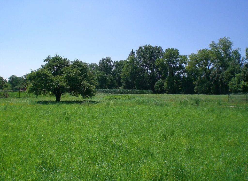 TERRAINS SOVIA AMENAGEURS9 1024X750 | SOVIA Aménageur Comment organiser efficacement sa recherche de terrain dans le Haut-Rhin ? Colmar