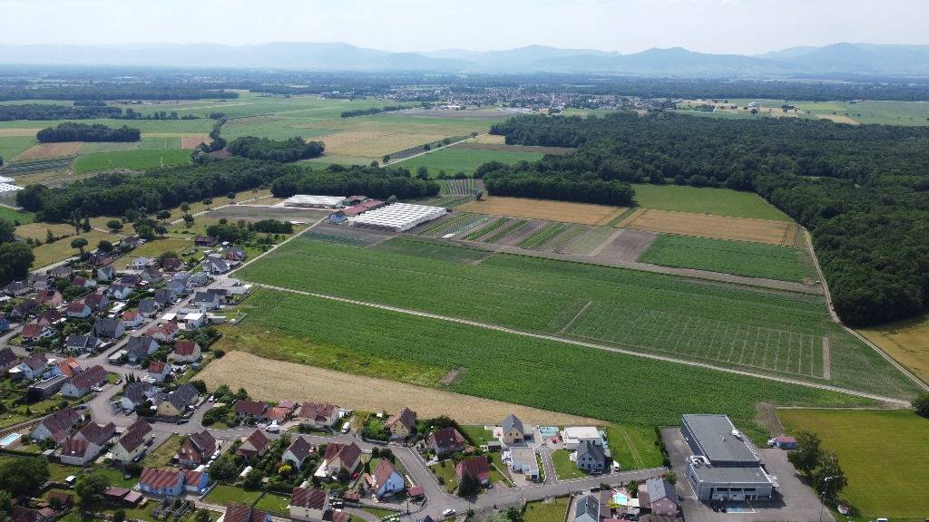 Gatterfled 1 Wittenheim 0