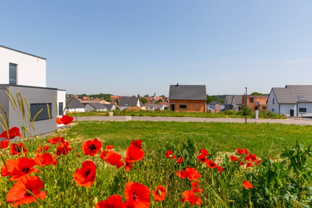 Hoffen &#8211; Bruennelsallmend Wittelsheim