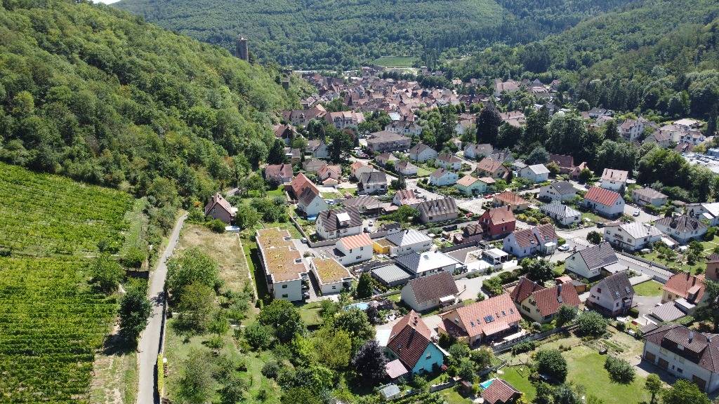 Les Terrasses du Schlossberg Guebwiller 0