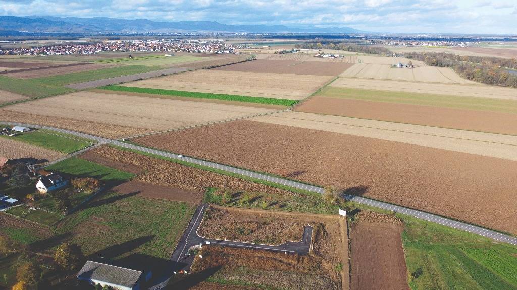 Les Vignes Kingersheim 0