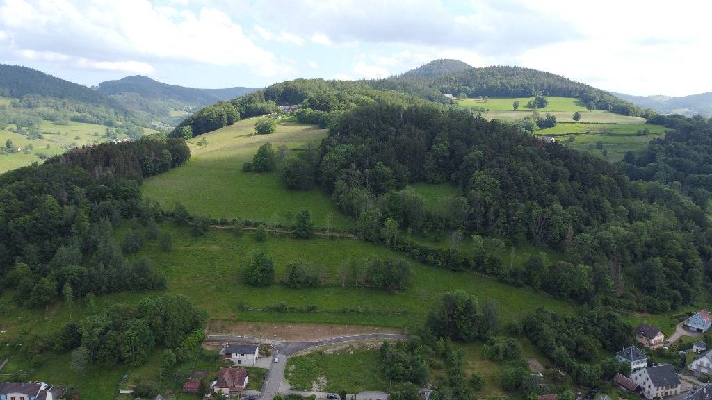 Les Erables Wittenheim 0