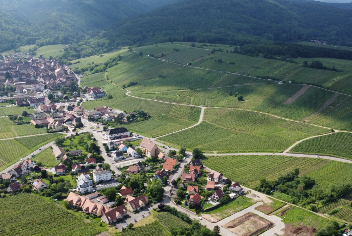 Découvrez votre terrain à Riquewihr Soultz-Haut-Rhin