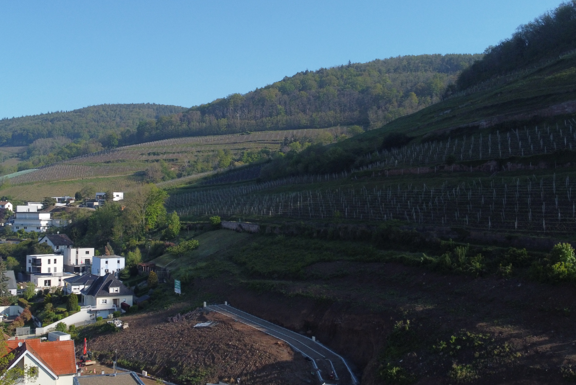Découvrez votre terrain à Guebwiller Schimberg Pfastatt
