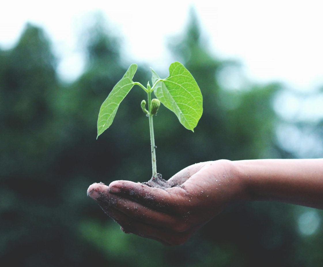 Maison bioclimatique à Colmar : une clé d&#8217;avenir durable | Alsace Pfastatt