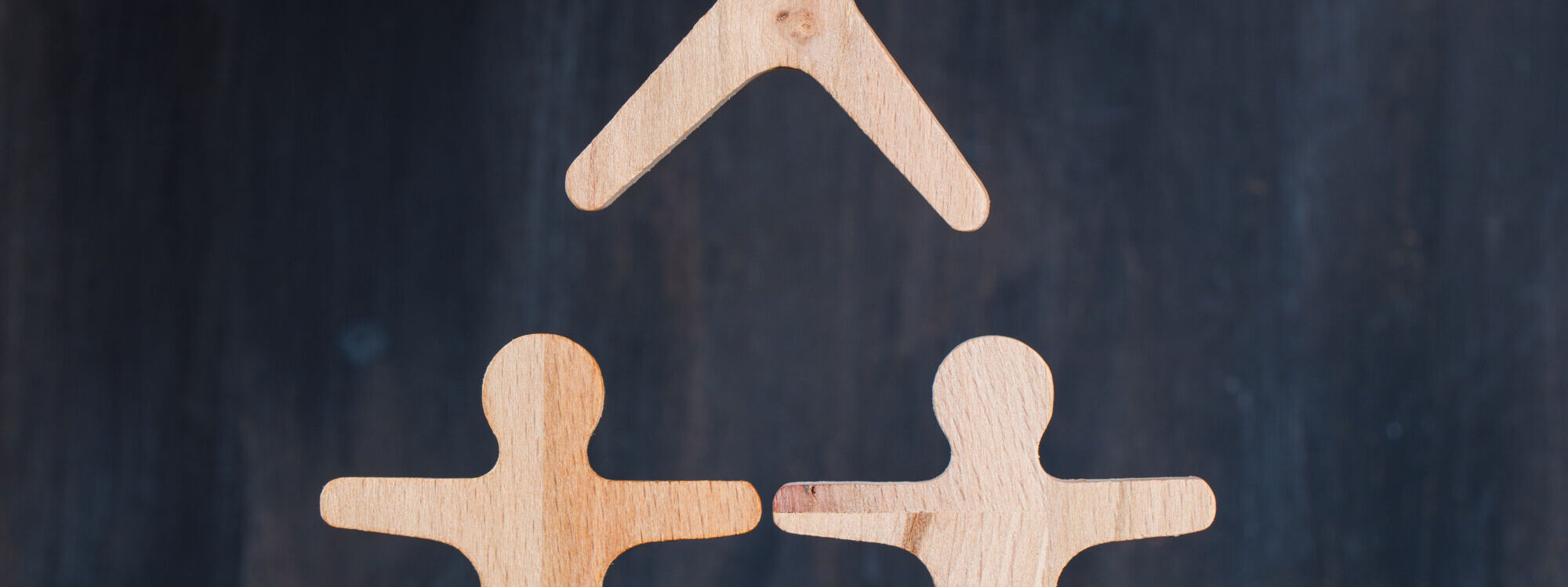 CONCEPT DE MARKETING SUR LA VUE DE COTE DE FOND EN BOIS ET SOMBRE MAIN CONSTRUCTION PILE DE FIGURE EN BOIS 2000X750 | SOVIA Aménageur Trouver un terrain adapté à un projet familial ou évolutif Illzach