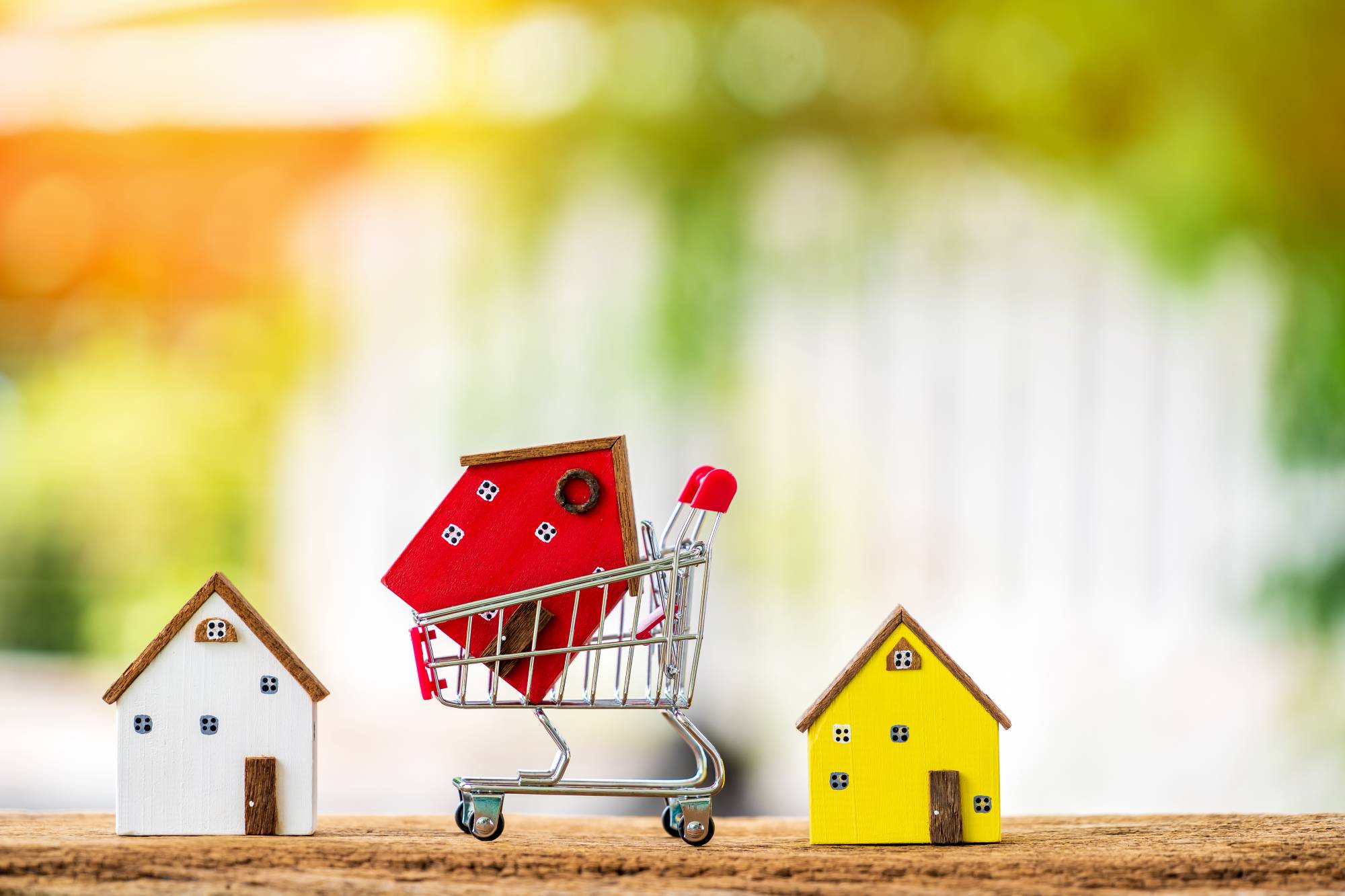 Terrain en Alsace : les bons r&eacute;flexes &agrave; adopter pour un achat serein Pfastatt