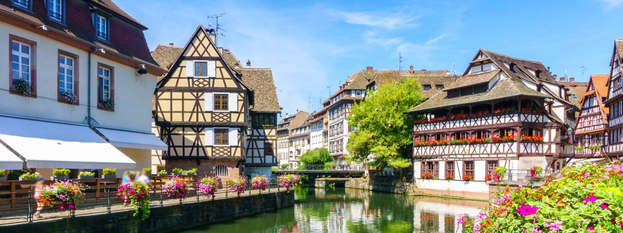 Pourquoi le terrain en lotissement s&eacute;duit de plus en plus d&rsquo;acqu&eacute;reurs en Alsace Illzach