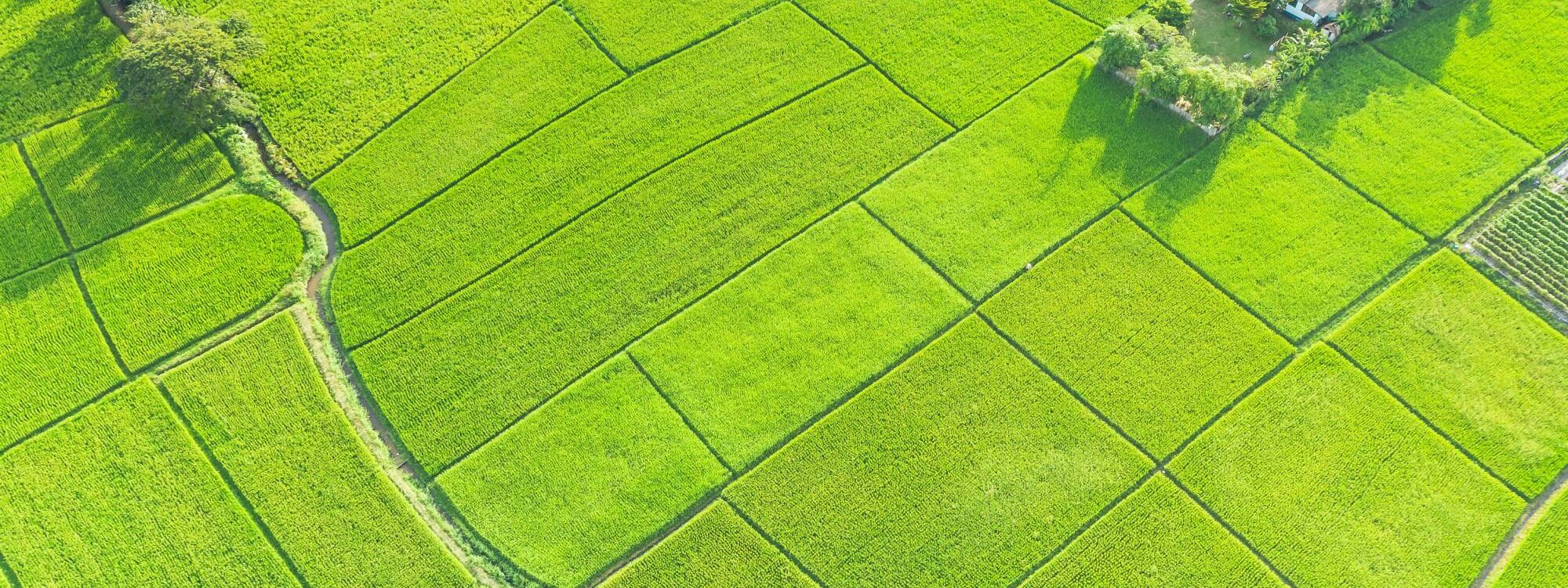 Terrain constructible en Alsace : les r&egrave;gles d&rsquo;urbanisme &agrave; conna&icirc;tre avant l&rsquo;achat Wittelsheim