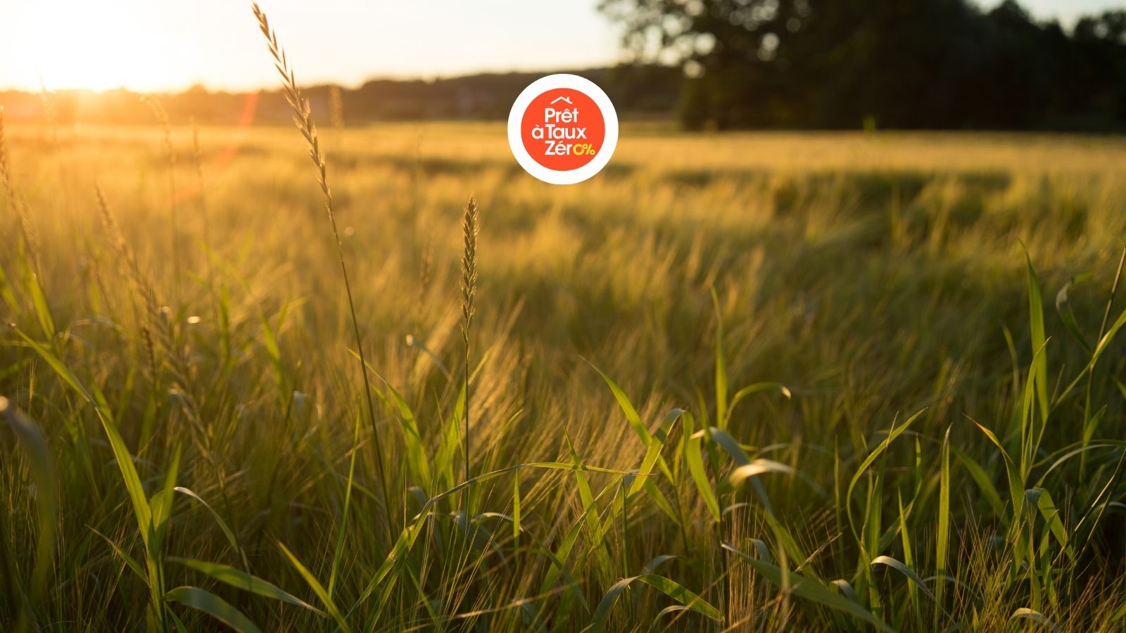 TERRAINS A VENDRE OBERHERGHEIM | SOVIA Aménageur Rue de Rouffach Pfastatt 0