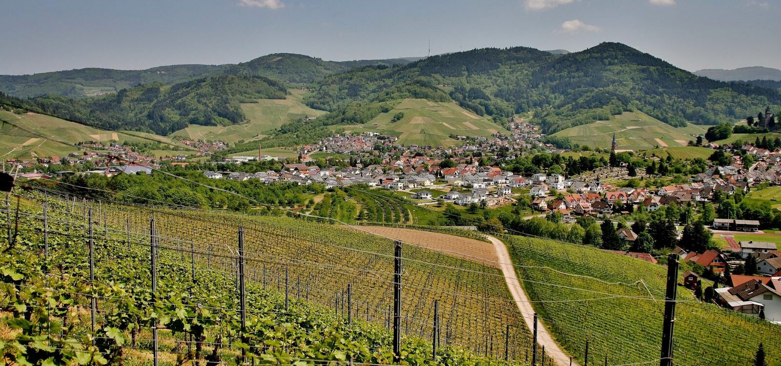 TERRAIN A VENDRE 3 1600X750 | SOVIA Aménageur Haut-Rhin : où trouver des terrains encore disponibles à la vente Sélestat