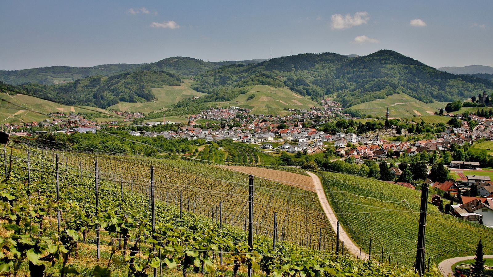 Acheter un terrain dans le Bas-Rhin : ce qu’il faut savoir sur les r&egrave;gles locales Pfastatt