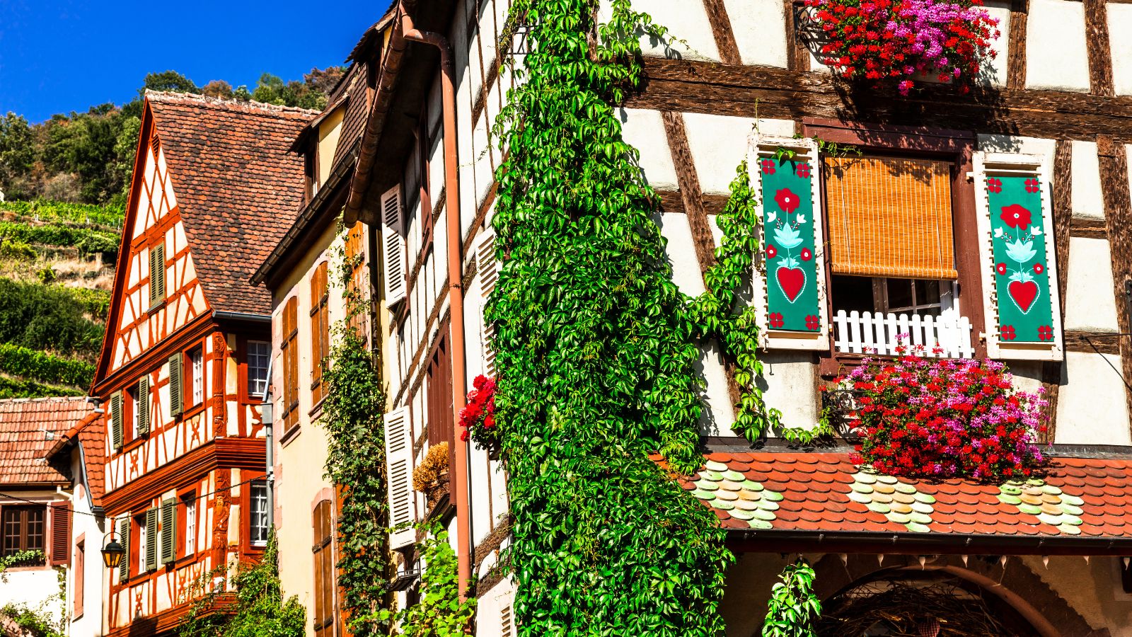 TERRAIN A VENDRE 1 | SOVIA Aménageur Terrain constructible à Mulhouse : comment éviter les zones à risque ? Sélestat